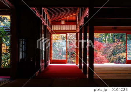 南禅寺塔頭天授庵の紅葉 9104228