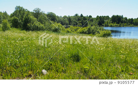 Lake in the summer 9105577