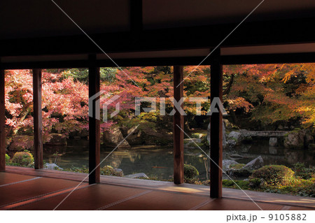 京都 蓮華寺 庭園 京都 蓮華寺 庭園 9105882