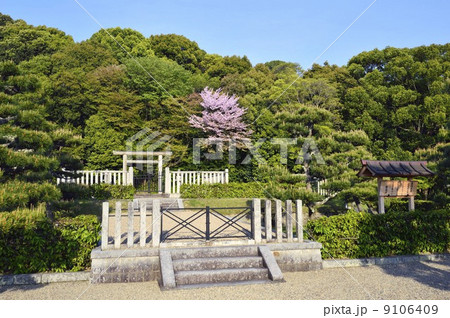 渋谷向山古墳 景行天皇陵 渋谷向山古墳 景行天皇陵 9106409