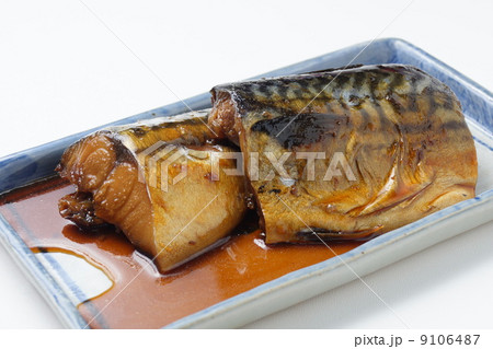 鯖煮 9106487