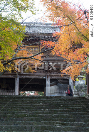 晩秋の五台山竹林寺　四国霊場八十八個所　三十一番札所 9106496