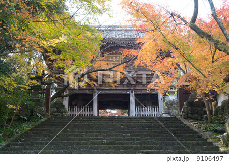 晩秋の五台山竹林寺　四国霊場八十八個所　三十一番札所 9106497