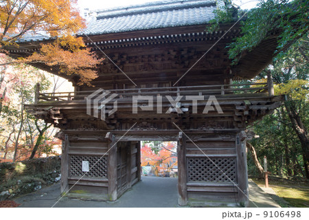 晩秋の五台山竹林寺　四国霊場八十八個所　三十一番札所 9106498