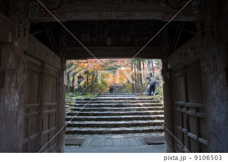 晩秋の五台山竹林寺 四国霊場八十八個所 三十一番札所 晩秋の五台山竹林寺 四国霊場八十八個所 三十一番札所 9106503