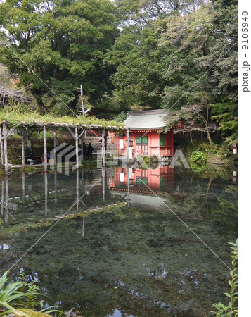 富士山本宮浅間大社 富士山本宮浅間大社 9106940