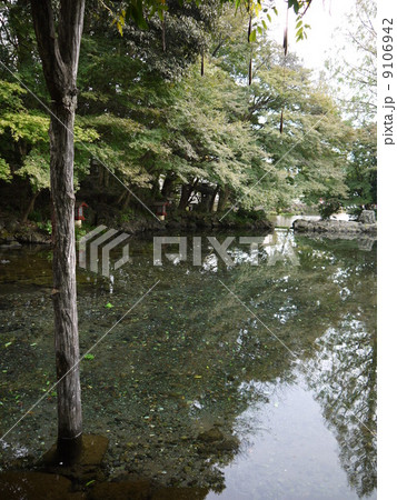 富士山本宮浅間大社 9106942