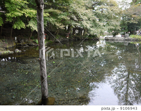 富士山本宮浅間大社 富士山本宮浅間大社 9106943