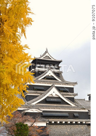 雨上がりの熊本城 天守閣 雨上がりの熊本城 天守閣 9107075