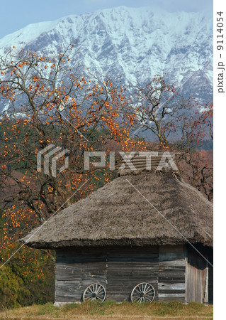雪山を背にする茅葺小屋 雪山を背にする茅葺小屋 9114054