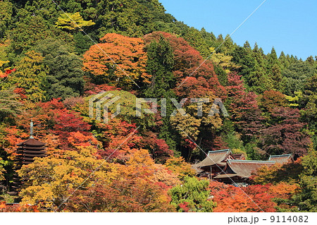 秋の談山神社 秋の談山神社 9114082