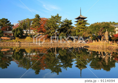 奈良興福寺の秋 奈良興福寺の秋 9114094