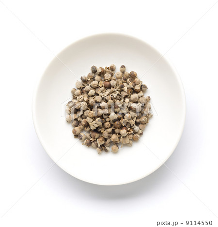 チェストベリー チェストツリー チェストベリー チェストツリー 9114550