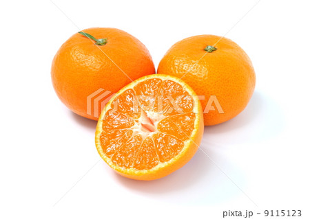 みかん 9115123