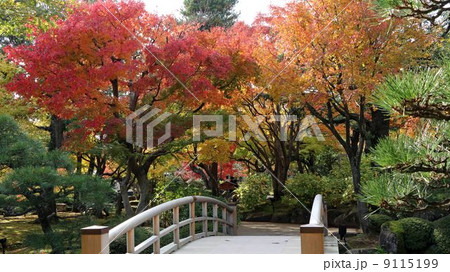 紅葉・・・由志園 9115199