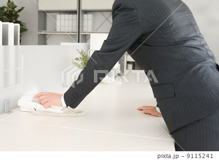 電話を撮るビジネスウーマン 9115241
