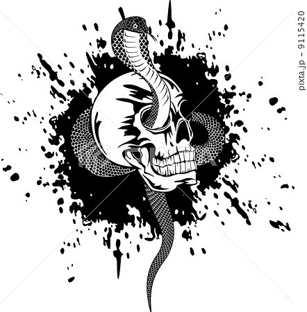 skull and snake skull and snake 9115420