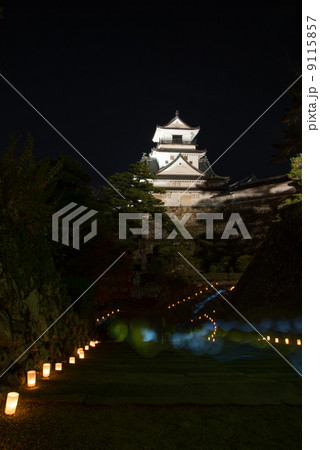 夜空に浮かぶ高知城天守閣 冬のお城祭り 夜空に浮かぶ高知城天守閣 冬のお城祭り 9115857