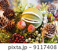 鉢植え 9117408