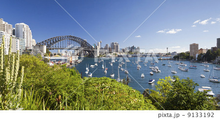 harbour bridge harbour bridge 9133192
