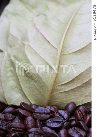 coffee beans onwooden table and dry leave package coffee beans onwooden table and dry leave package 9139478