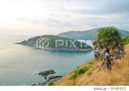 Palm tree, Phromthep cape viewpoint with blue sky Phuket,Thailan Palm tree, Phromthep cape viewpoint with blue sky Phuket,Thailan 9140323