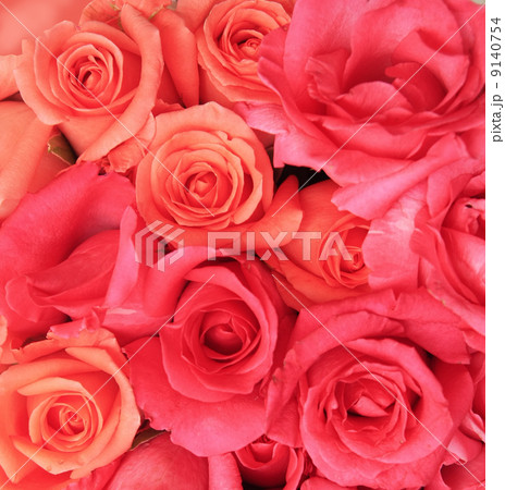 Rose background 9140754