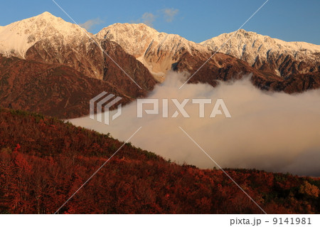 晩秋の白馬三山 9141981