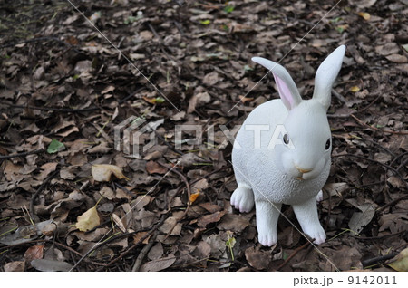 枯葉とウサギ 枯葉とウサギ 9142011