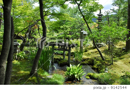 京都大寧軒の庭園風景 9142544