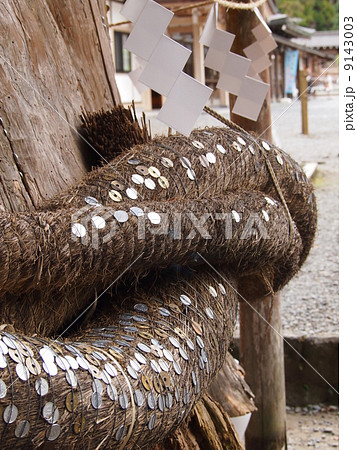 しめ縄　賽銭　小國神社　大杉 9143003