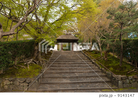 安楽寺　山門 9143147