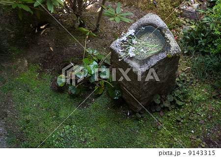安楽寺　書院の手水鉢 9143315