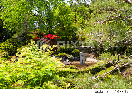 安楽寺　仏足石 9143317