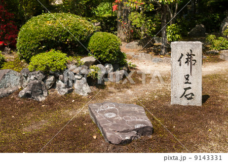 安楽寺 仏足石 安楽寺 仏足石 9143331