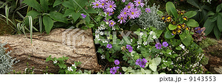 花壇 花壇 9143553