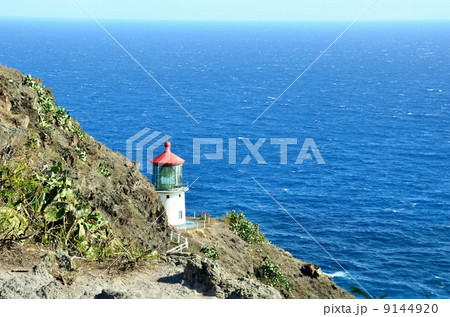 ハワイの休日 9144920