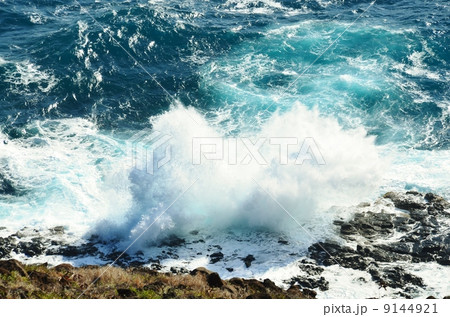 ハワイの休日 ハワイの休日 9144921