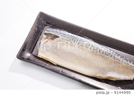 きずし・青魚 9144990