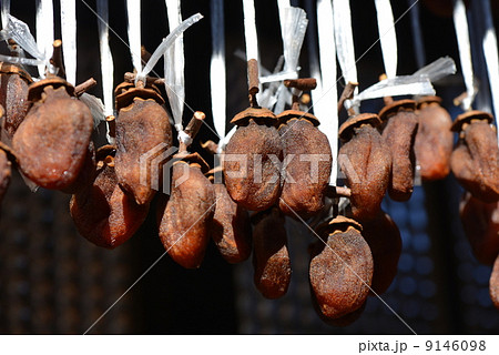 つるし柿 9146098