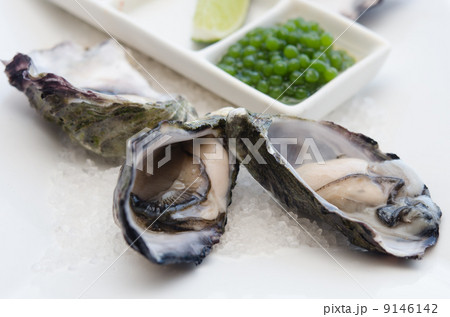 生ガキ 生ガキ 9146142