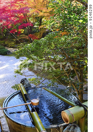 泉涌寺 つくばい 紅葉 泉涌寺 つくばい 紅葉 9146299