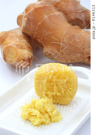 生姜　卸し生姜　しょうが　白背景 9146313