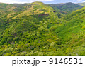 ハワイ　カウアイ島　内陸の景色　空撮　樹海 9146531