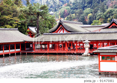 満潮時の厳島神社 9147081