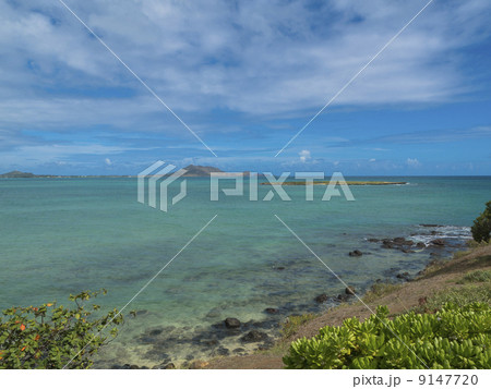 ラニカイ/住宅地とビーチ ラニカイ/住宅地とビーチ 9147720