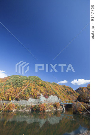 みずがき湖の紅葉 9147759