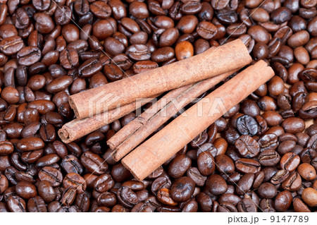 cinnamon bark on roasted coffee beans 9147789