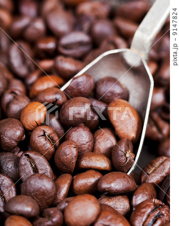 silver spoon scoops roasted coffee beans 9147824