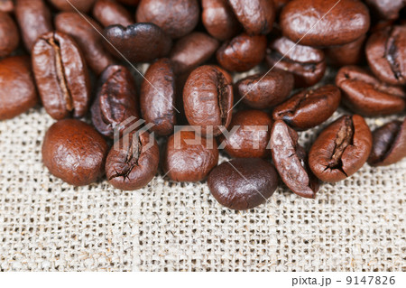 roasted coffee beans on bagging roasted coffee beans on bagging 9147826